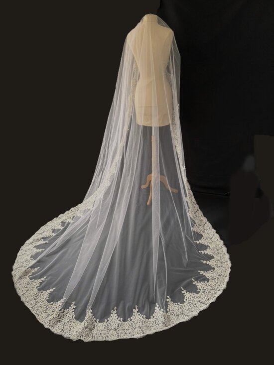 Cathedral Bridal Veil English Net Alençon Lace Beaded Pearl Veil Antique White main image 6